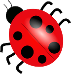 ladybug-24622_150