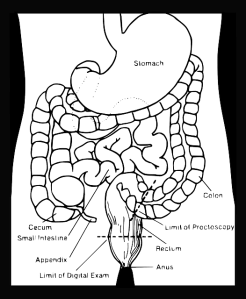 colon black-40607_640