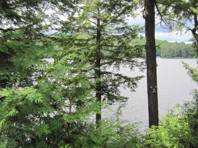 The Lake at the Cottage 2014