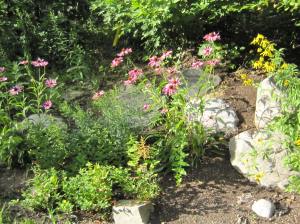Nature and nurture came together beautifully in this lovingly-tended garden