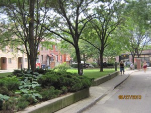 Old photo - but I'm still loving those lunchtime walks